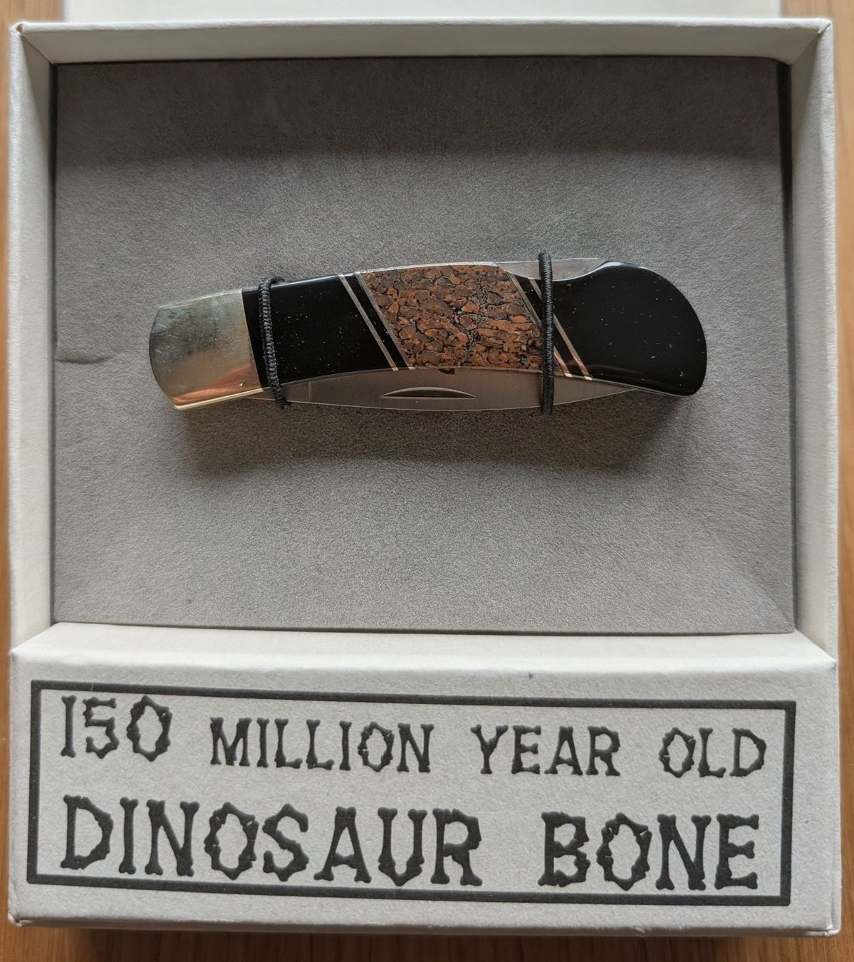 Coltelli tascabile: Taschenmesser mit Dinosaurierknochen im Schaft – Nuovo (secondo la descrizione) da Uster venduto da proshka74 1