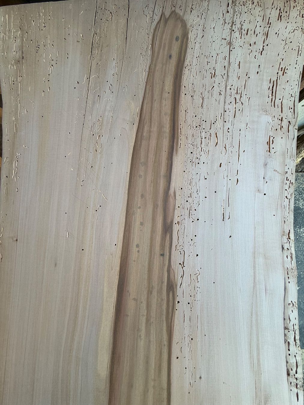 Articoli in legno: Apfel Brett wurmig trocken – Nuovo (secondo la descrizione) da Holziken venduto da Timbergrizzly 2