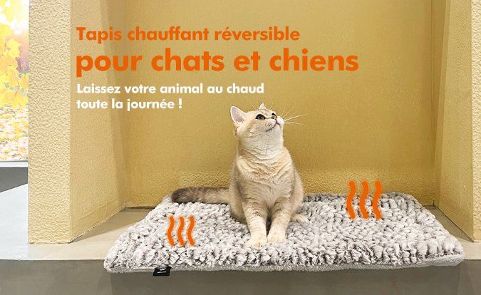 Coussin Auto-chauffant Pour Chat/chien – 70x48 Cm, Sans électricité, Housse Lavable, Antidérapant
