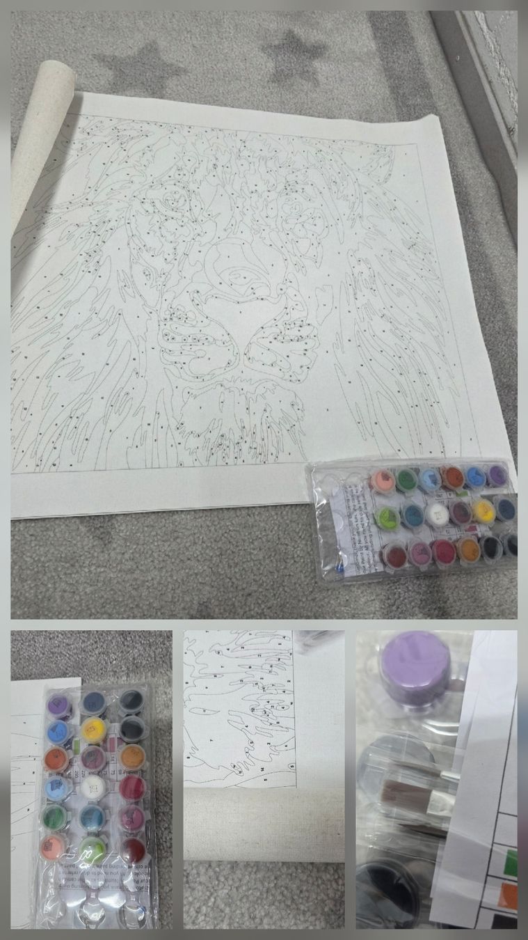 Kit bricolage: malen nach zahlen – Nuovo (secondo la descrizione) da Birr venduto da SonjaB84 1