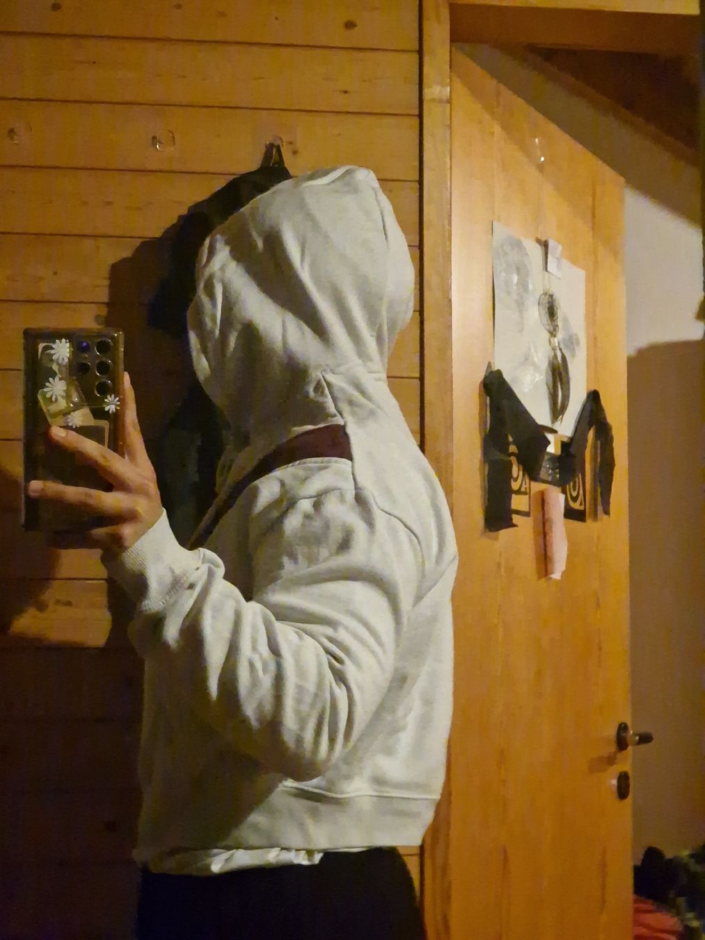 Pulls & Sweat-shirts: Pullover – D'occasion à Wil SG par zeh_pck9 1
