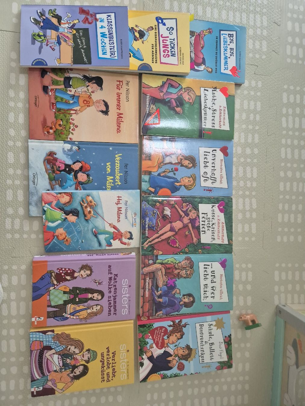Libri: Diverse Mädchenbücher – Usato da Hinteregg venduto da Secondhand_Carmen