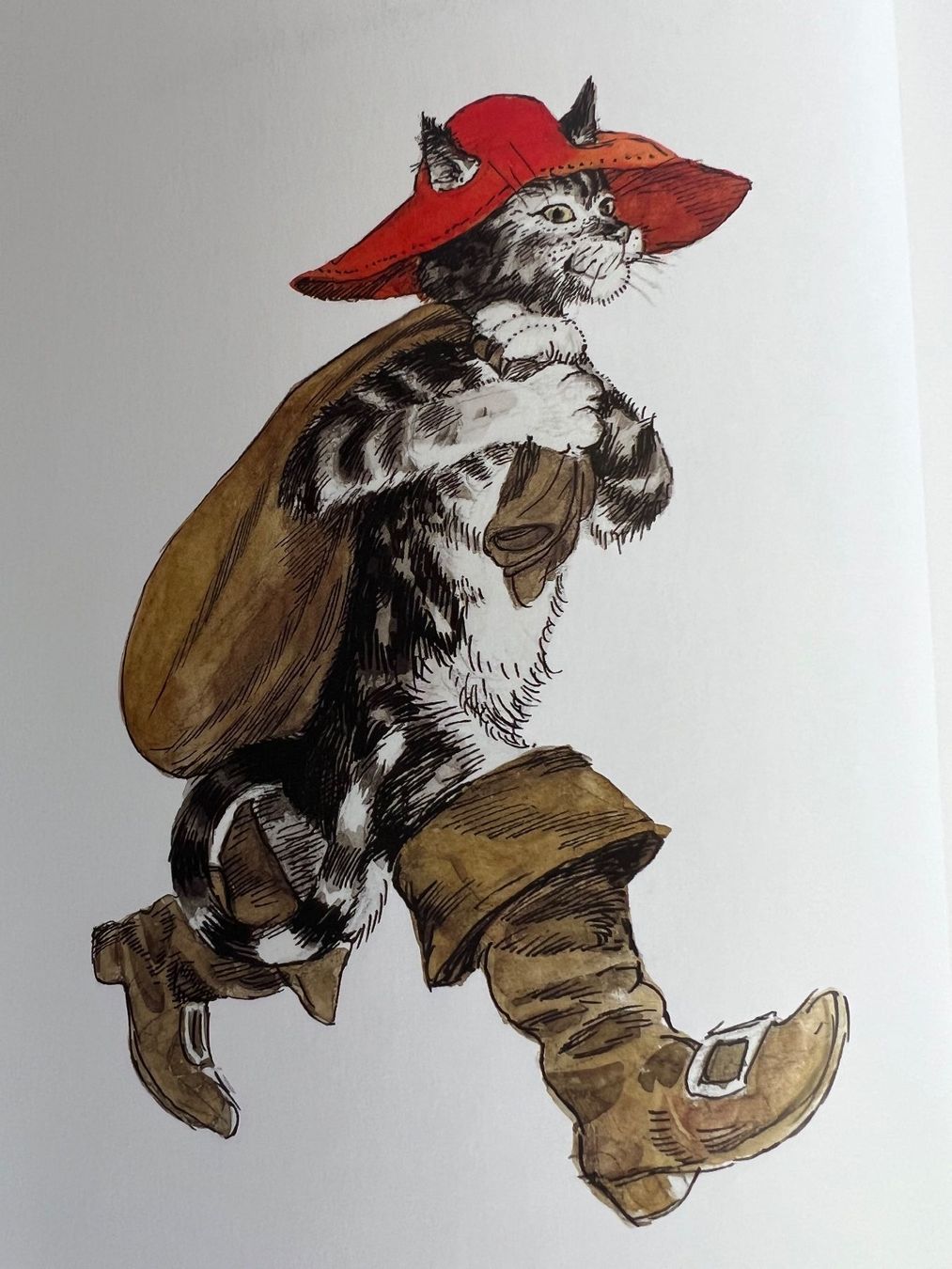 Libri: Die schönsten Märchen der Brüder Grimm Märchenbuch 2012 top – Nuovo (secondo la descrizione) da Oberhofen Thun'see venduto da SwissTreasure 2