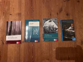 Diverse Klett Schulbücher