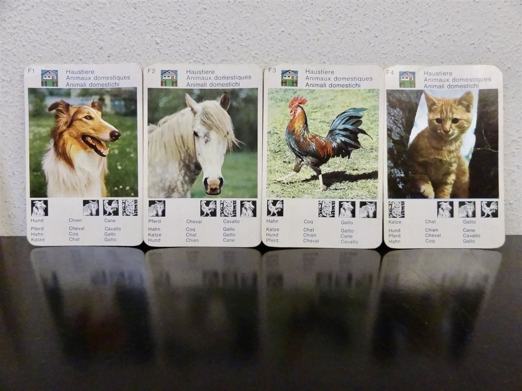 Giochi: schönes altes Quartett TIER-QUARTETT – Usato da Kerzers venduto da wisaundso 8