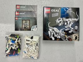 LEGO Ideas Dinosaurier Fossilien (21320)