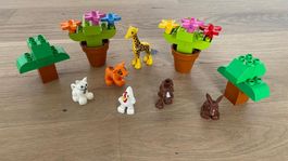 LEGO Duplo Tiere- und Pflanzen Set (neuwertig)