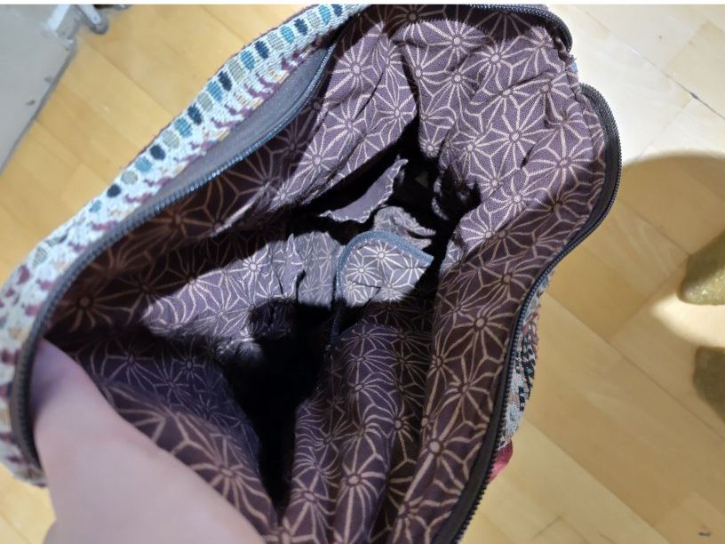 Zaini: VERKAUFT Rucksack – Usato da Biel/Bienne venduto da fio_5rcm 2