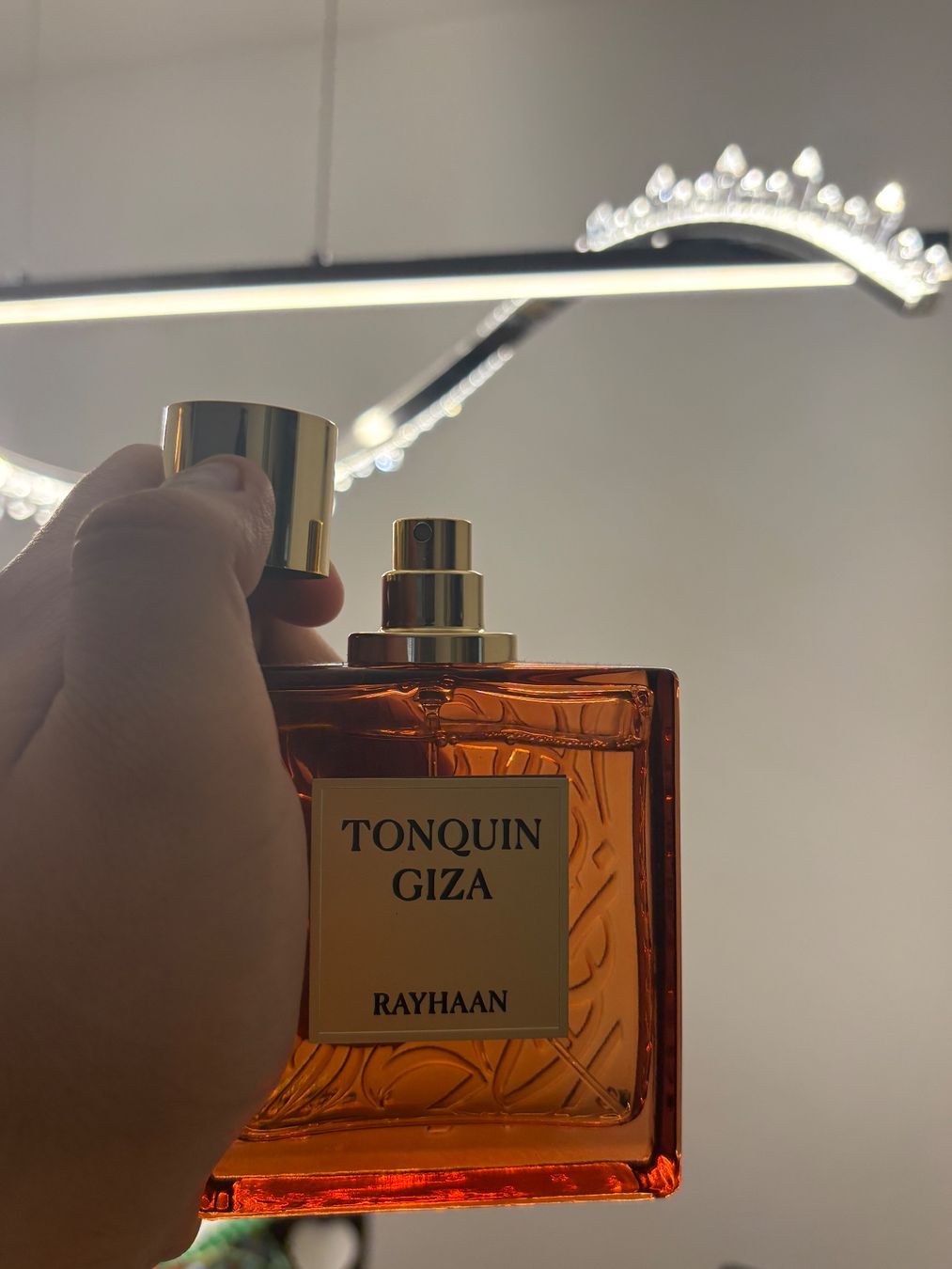 Parfum & Eau de Toilette: Tonquin Giza 100 ml Voll – Gebraucht aus Buchs SG von leo_b9jm 2