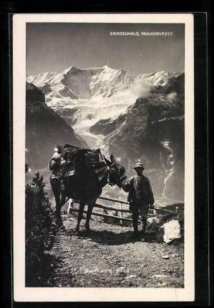 Cartoline postali: Grindelwald, Faulhornpost, Postpote in d – Usato da Berlin venduto da bartko-reher