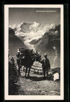 Grindelwald, Faulhornpost, Postpote in d