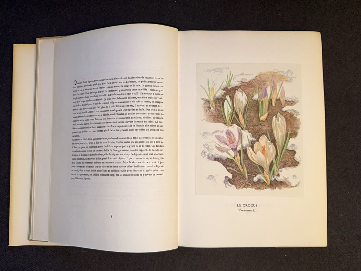 Libri: Fleurs de Nos Montagnes Book Good Condition – Usato da Le Sentier venduto da dar_hb62 4