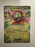 Pokemon Mega Meganie EX