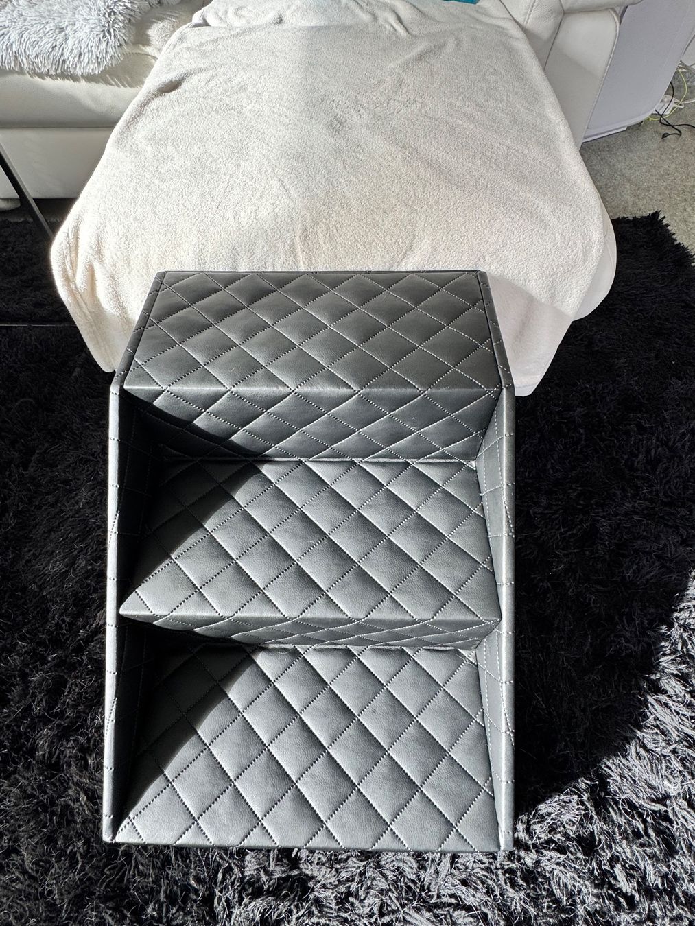 Scale: Hundetreppe schwarz aus Echtleder – Usato da Celerina venduto da Nivotrade 3