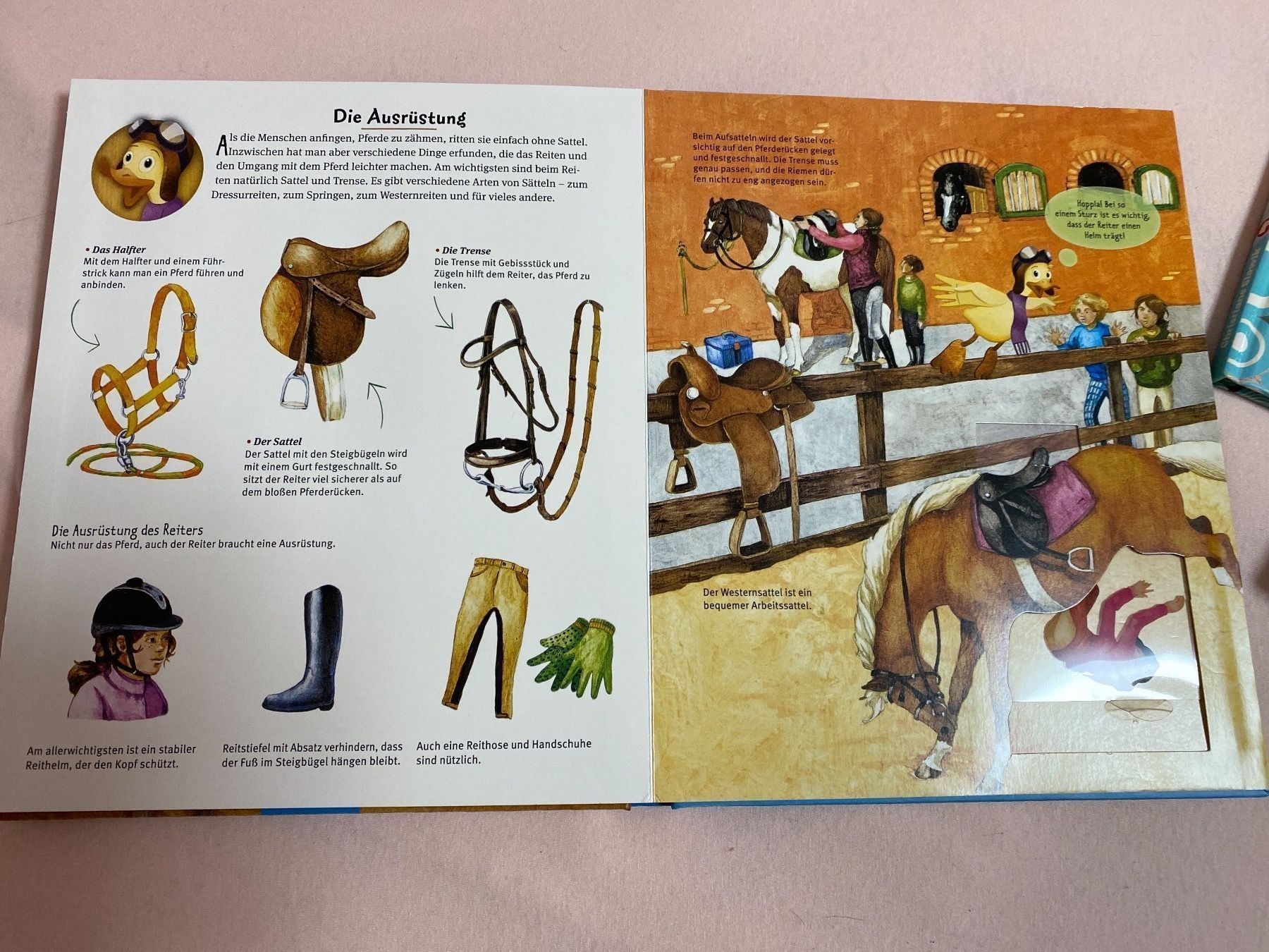 Bücher: Bücher/DVD Set Für Pferdefans – Gebraucht aus Krauchthal von Kiddy32 3