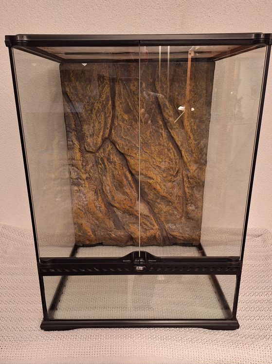 Exo Terra Terrarium Kaufen auf Ricardo