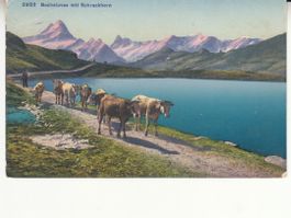 Bachalpsee 1923
