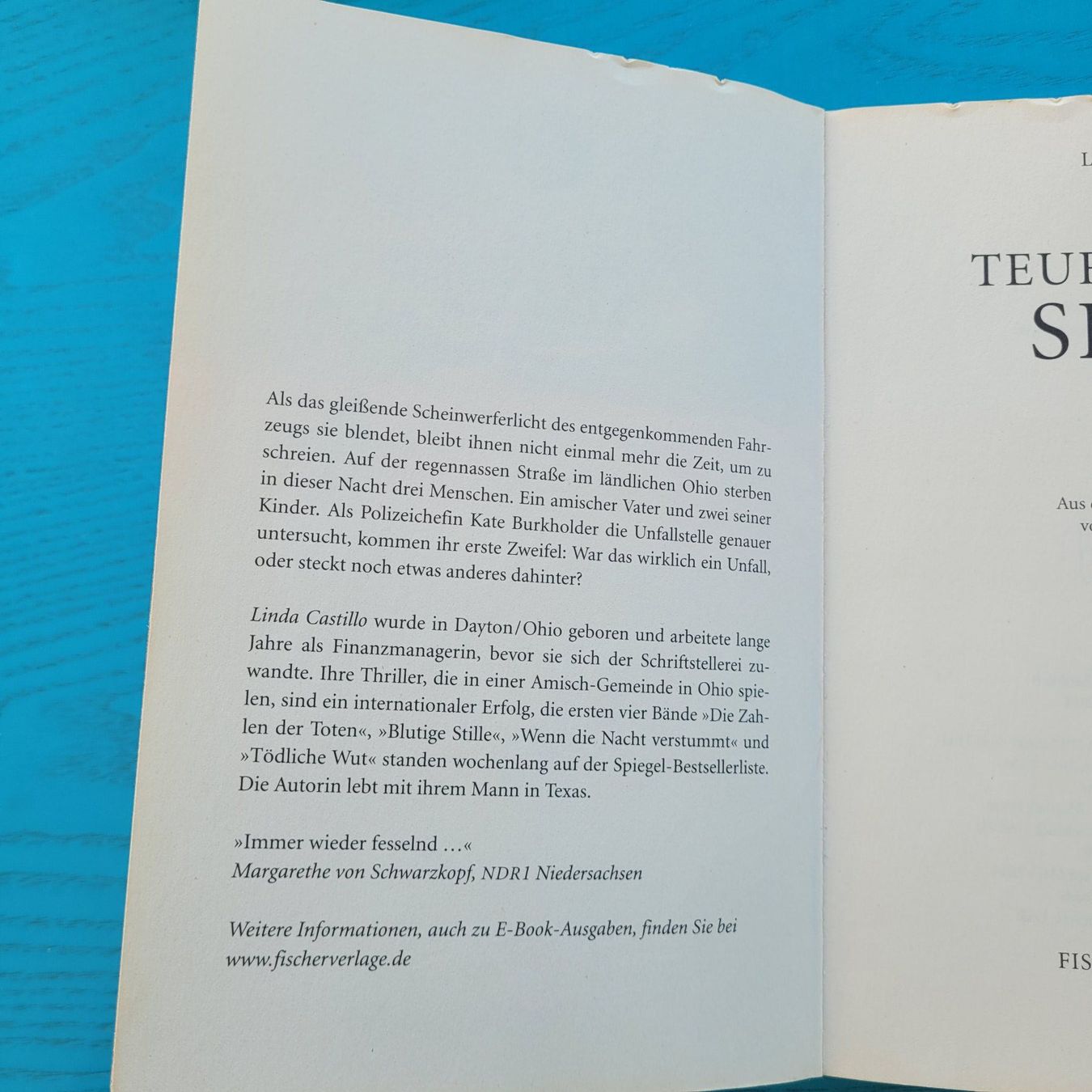 Libri: Linda Castillo- Teuflisches Spiel – Usato da SCHÜBELBACH venduto da CoKaHa 1