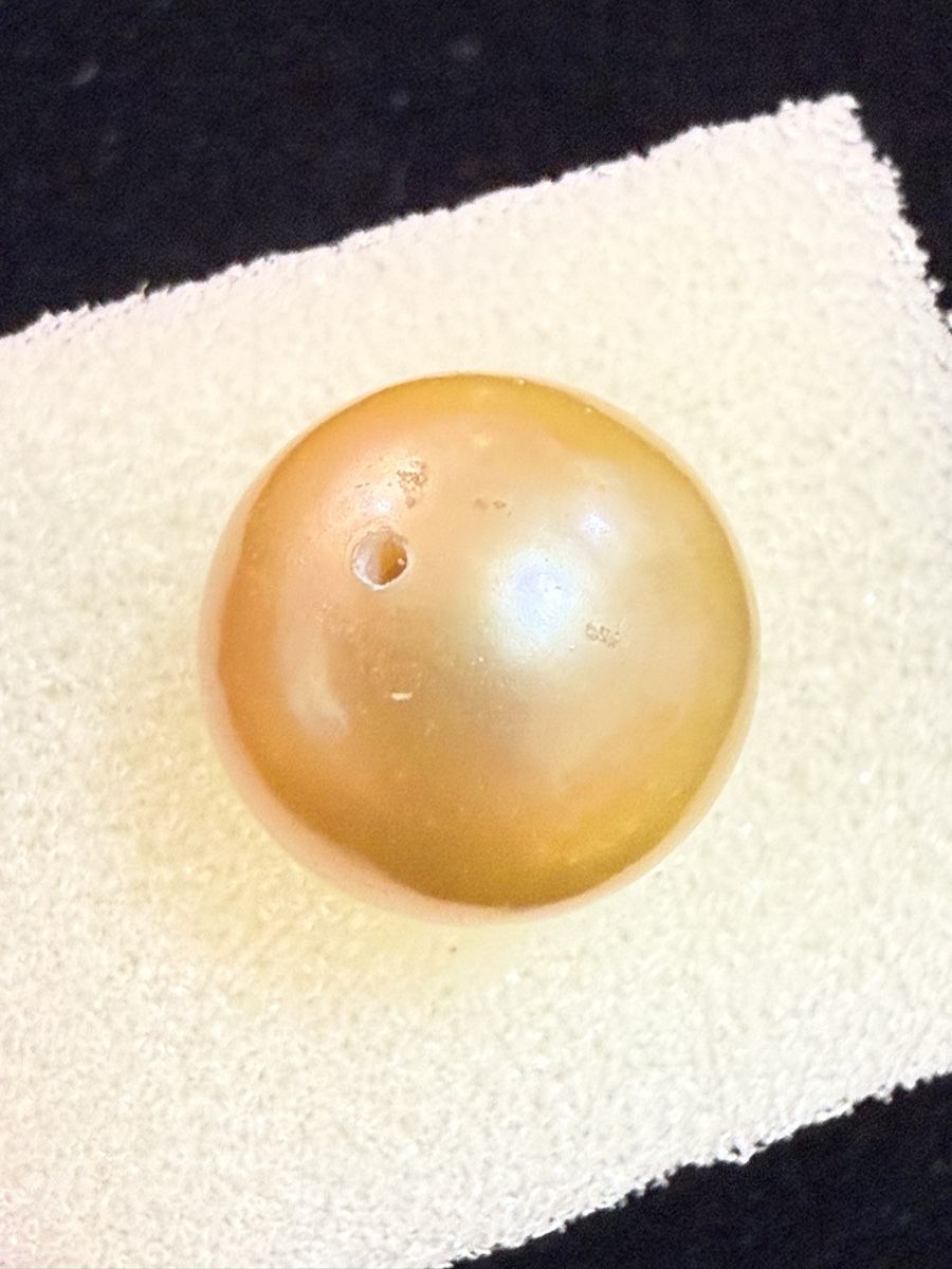 Perle (finte): Echt SüdSee Perlen Goldener Farbe – Nuovo (secondo la descrizione) da Oberhof venduto da RealStone 1