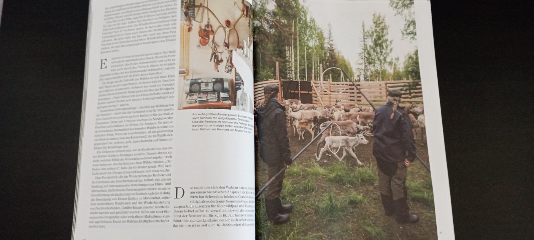 Riviste & Magazine: Geo Perspektive 2026 – Nuovo (secondo la descrizione) da Allschwil venduto da pri_9lsr 1