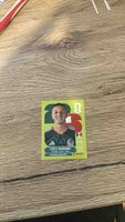 Panini Roberto Alvarado Sticker guter Zustand