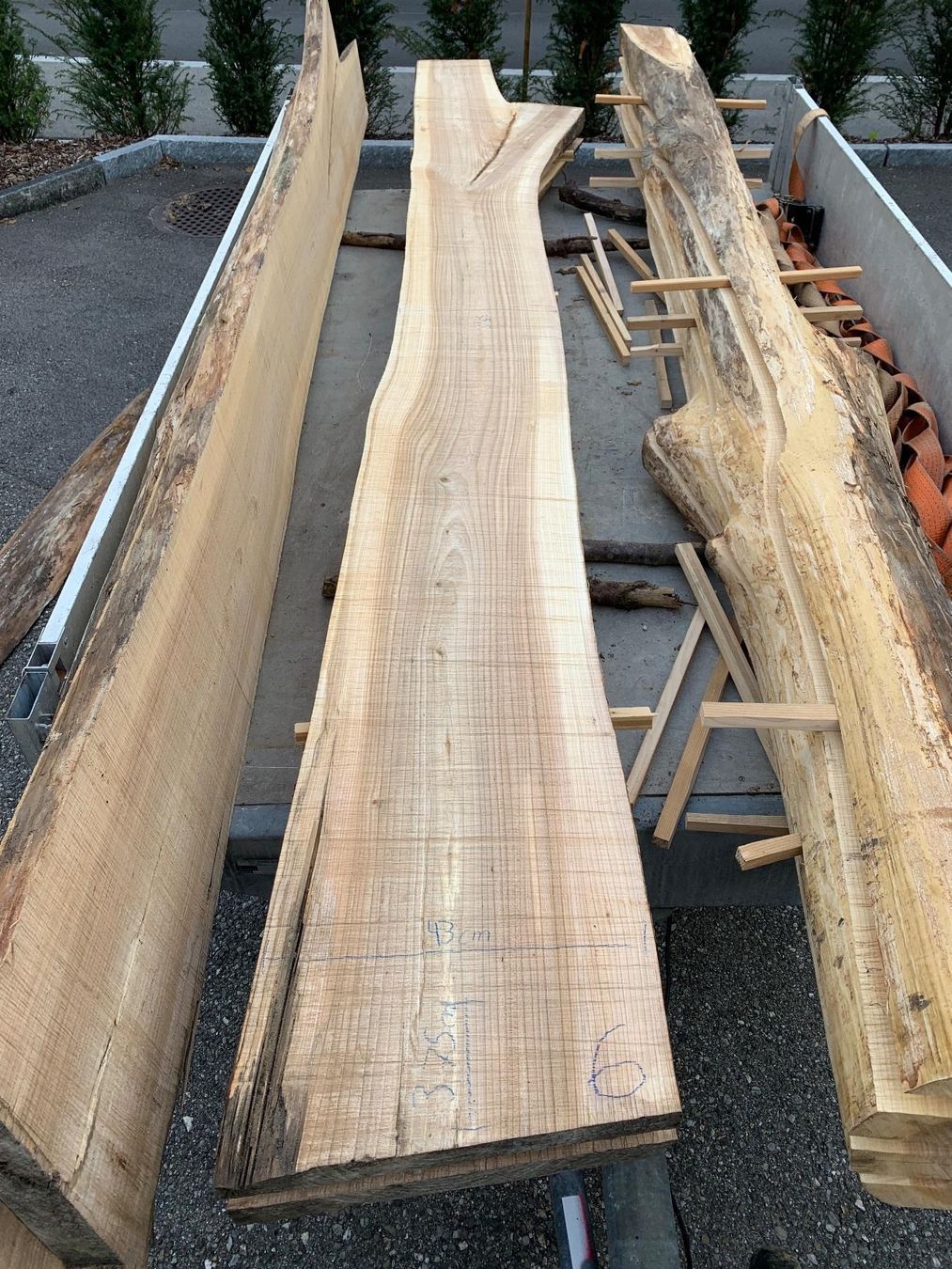 Articoli in legno: Ulmen Bretter – Nuovo (secondo la descrizione) da Lotzwil venduto da gia_bn2w 6