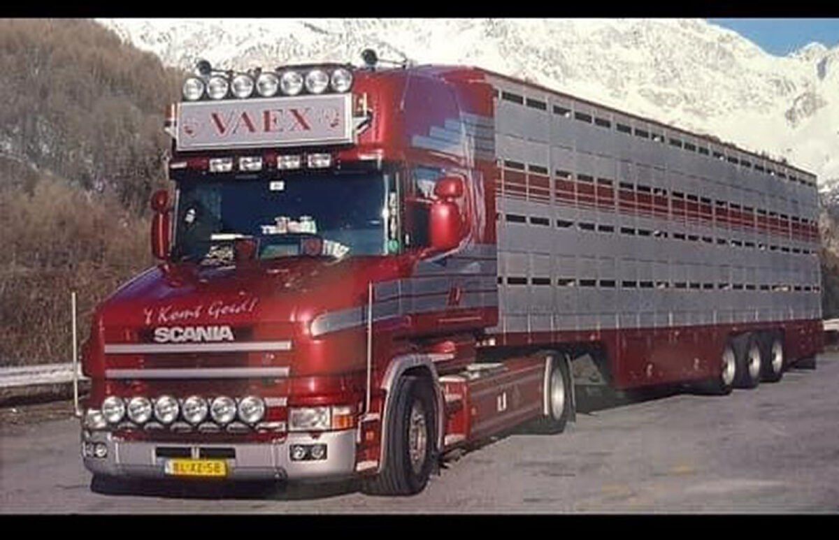 WSI Models Kit di modellismo & Modellini statici: WSI 02-2695 Scania Vaex – Nuovo (secondo la descrizione) da Dagmersellen venduto da FBM-Bacheli