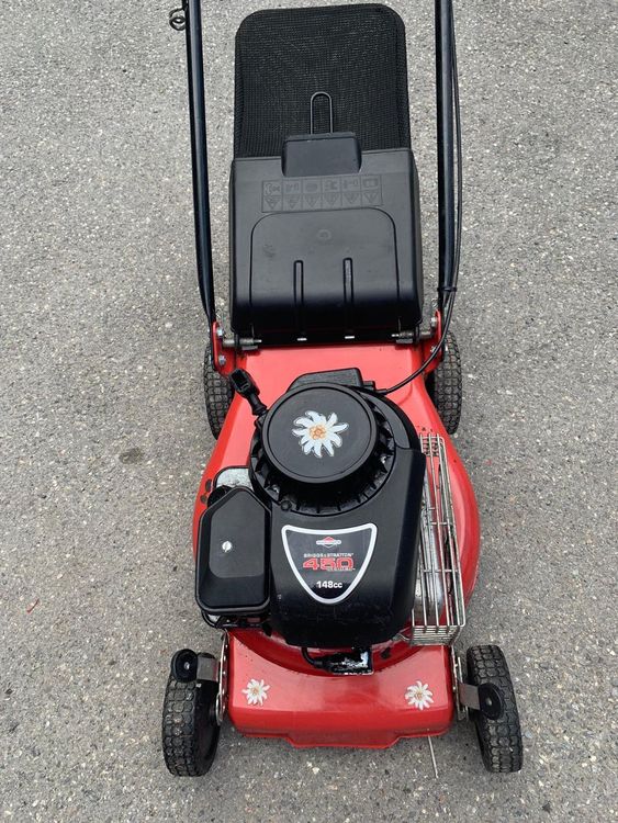 Briggs & Stratton 450 Rasenmäher Kaufen auf Ricardo