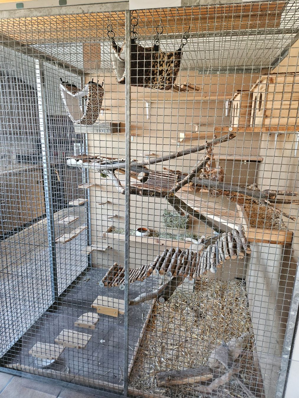 Cages, transport & sécurité: Chinchilla Käfig – D'occasion à Moosleerau par mar_lr8m