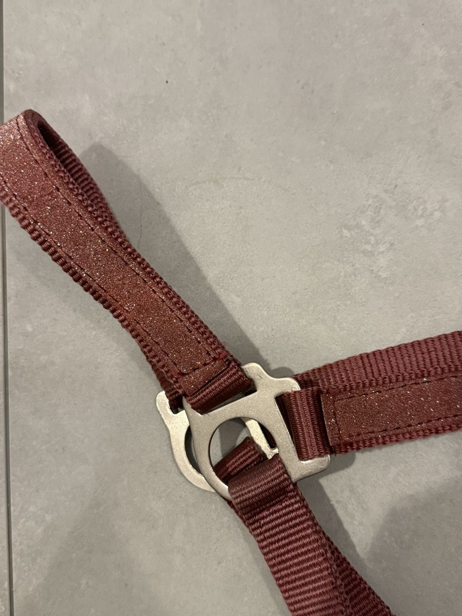 Briglie & Cavezze: Cob  Halfter Bordeauxrot mit Glitzer – Nuovo (secondo la descrizione) da Amriswil venduto da Mad_x7 1