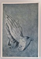 Albrecht Dürer - Betende Hände - top