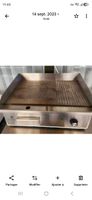 Plaque chauffante et grill professionnel, parfait pour l'été