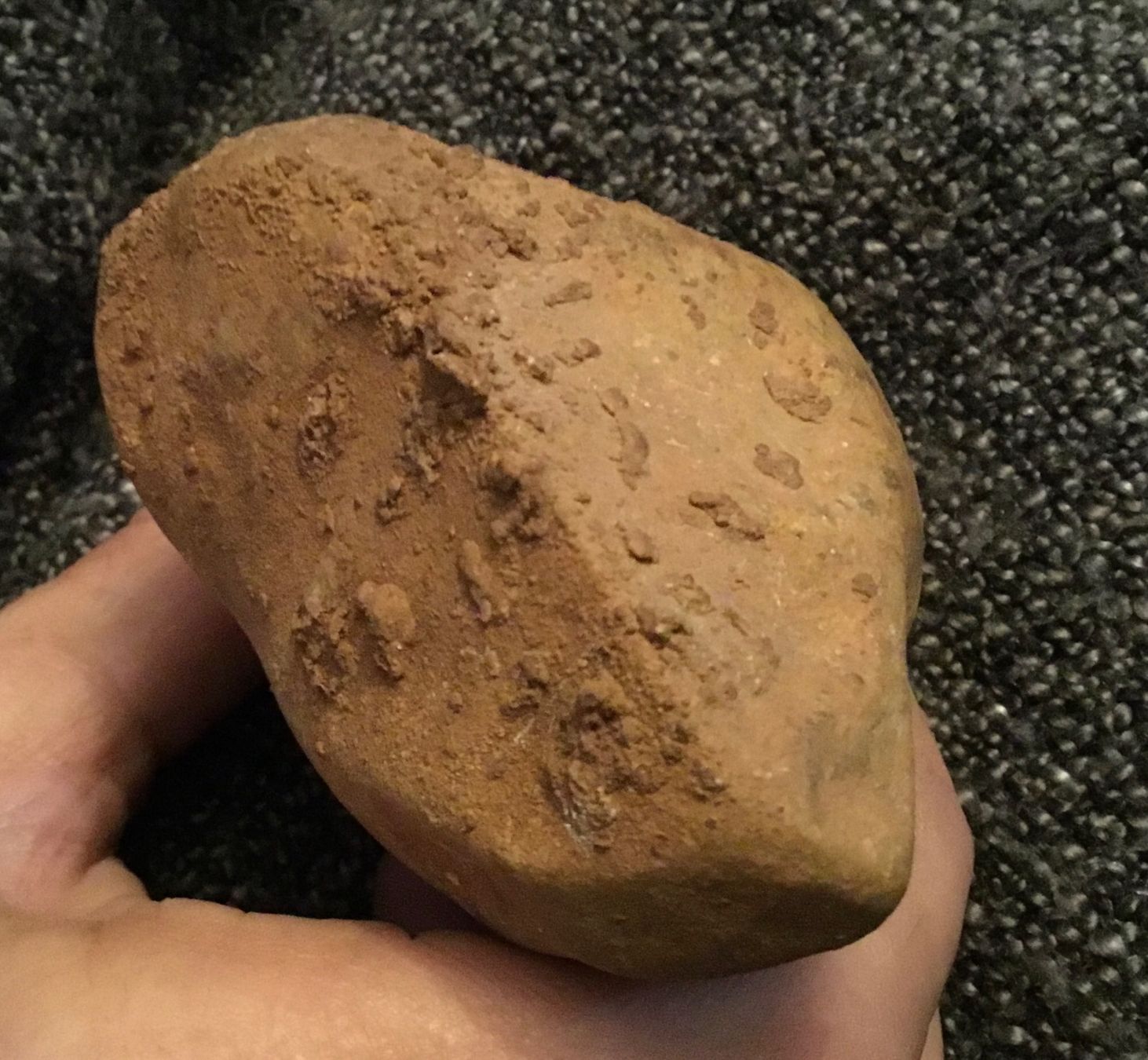 Fossilien: Faustkeil Windkanter – Gebraucht aus Schlieren von Jeajet 5