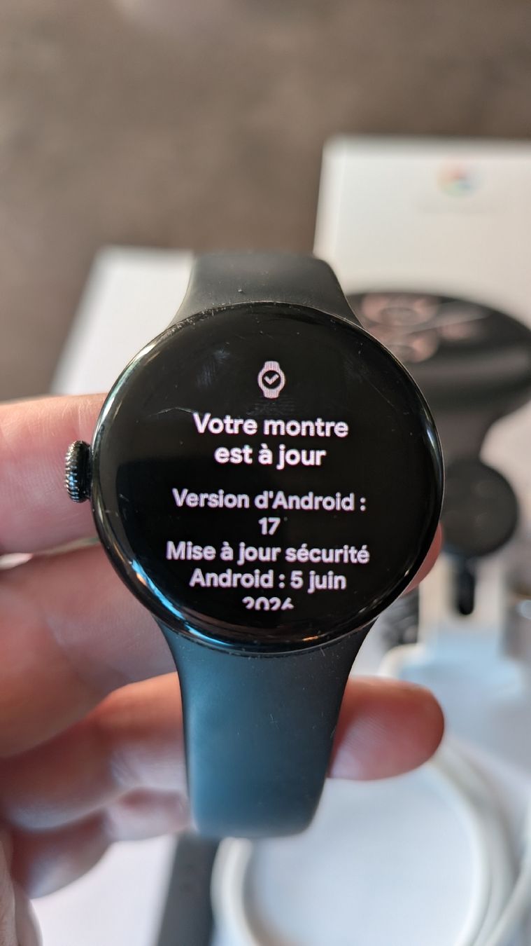 Google Smartwatch: Montre Google Pixel Watch 2 – Gebraucht aus COTTENS VD von Lunaebuyers 2