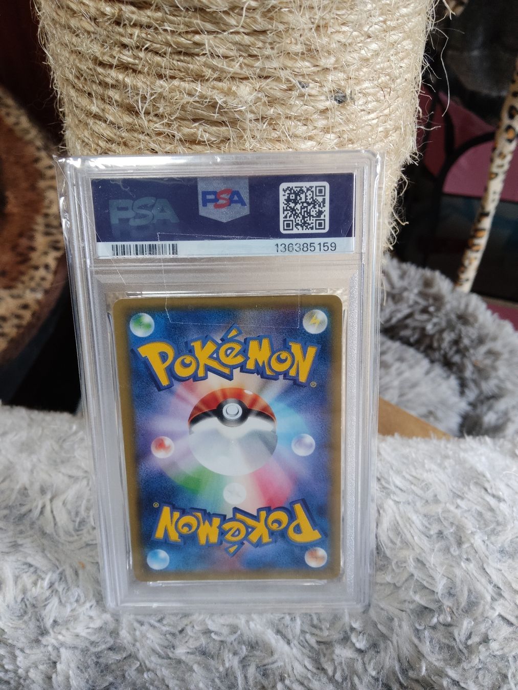 Pokémon Carte collezionabili: Pikachu special set #044 SM PROMO anno 2017 PSA8 – Nuovo (secondo la descrizione) da Vezio venduto da 41181 2