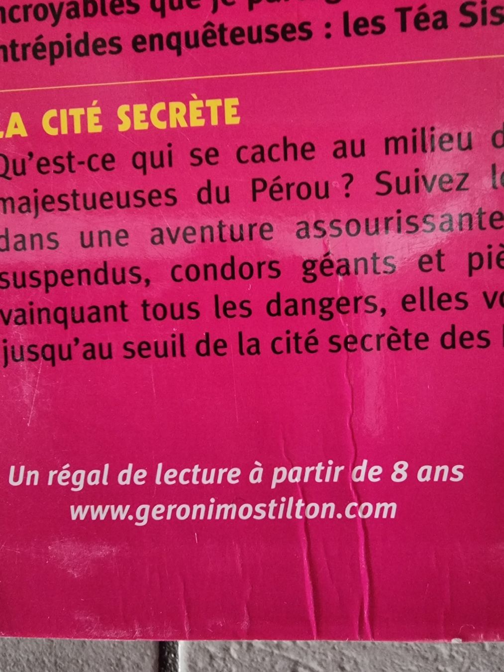 Libri: Lot de livres "Tea Stilton " – Usato da st-Léonard venduto da Pegaze0 4