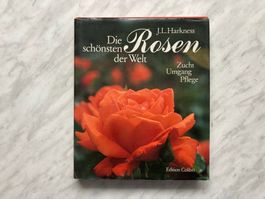 Die schönsten Rosen der Welt