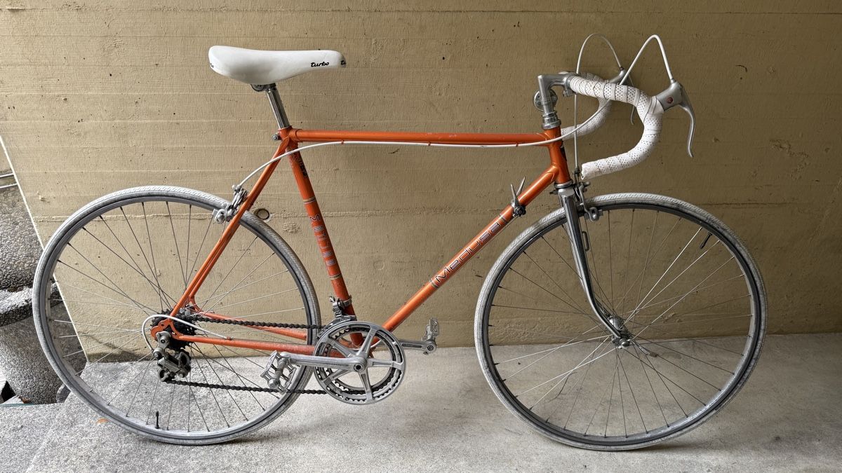 Biciclette: Retro Rennrad – Usato da Winterthur venduto da melwatch