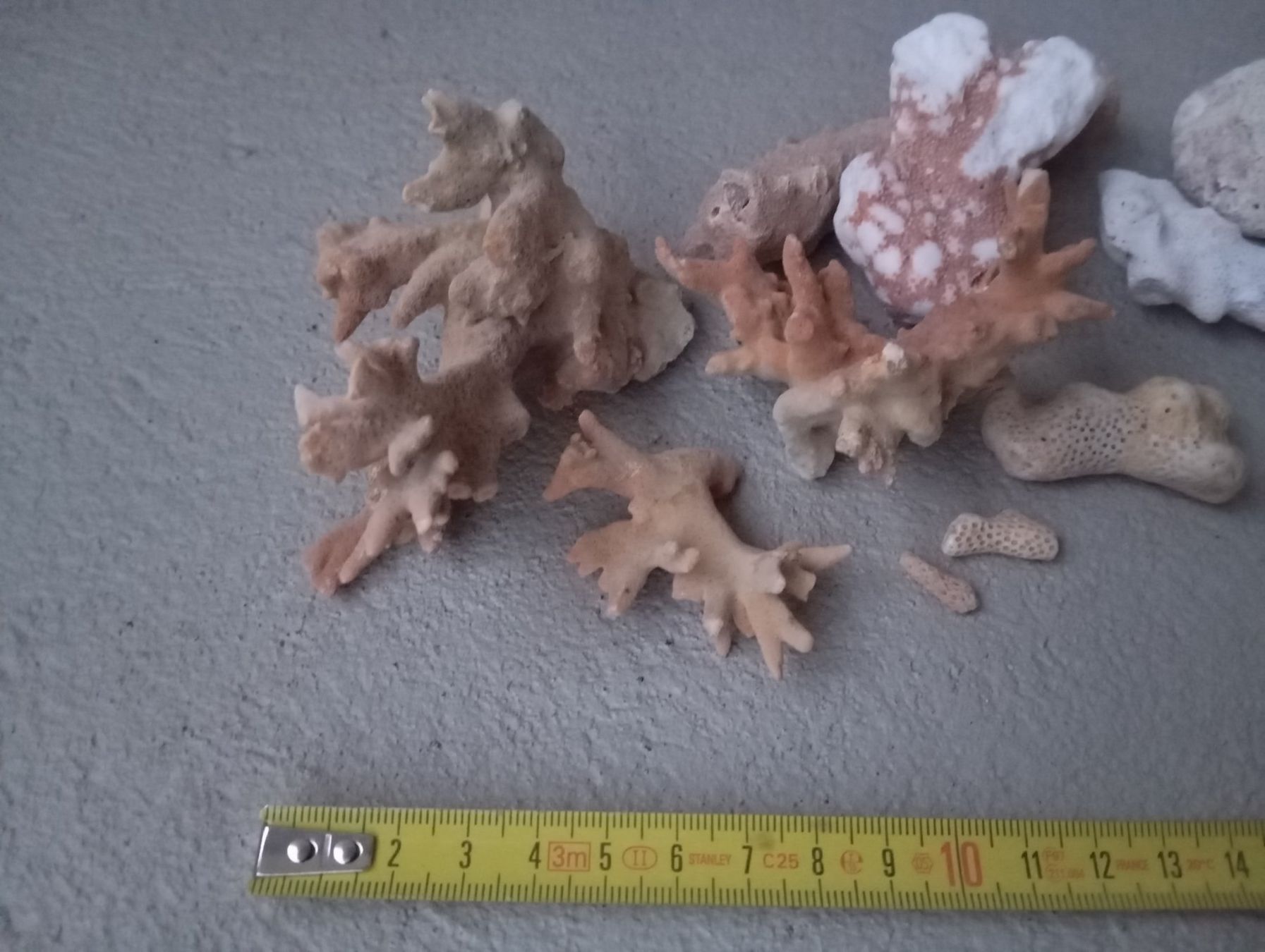 Fossili: Indischer Ozean "Sand & Korallen" – Nuovo e nell'imballaggio originale da Zeneggen venduto da shemesh_ 9