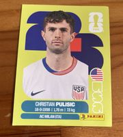 Panini USA16 Christian Pulisic