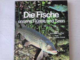 Fische unserer Flüsse + Seen Mondo Verlag Buch gebunden