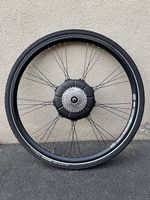 BionX Motor / RoHS powered