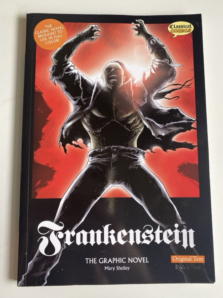 Comics: Graphic Novel Frankenstein – Gebraucht aus Riggisberg von jae_gjf6
