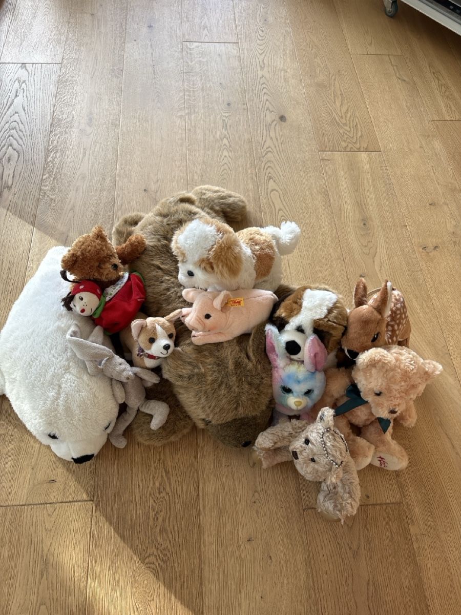Giocattoli: Stofftiere – Usato da Lenzburg venduto da bibibaba