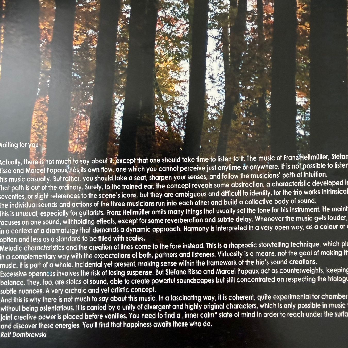 CDs: Hellmüller Risso Papaux, Waiting For You (2CD Unit) – D'occasion à Zug par Mirare9 3