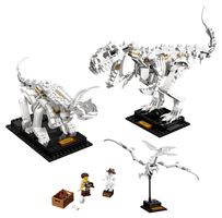 LEGO Ideas Dinosaurier Fossilien 21320 gebraucht zerlegt