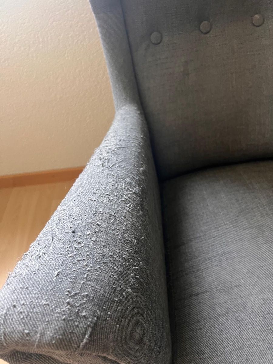 Ikea Sessel: Ikea Sessel Strandmon, Grau, – Gebraucht aus Deitingen von Koala-2024 2