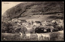 AK Rochefort, Vue du village avec église et vaches