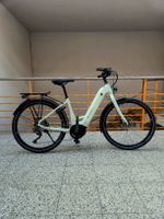 MTB Cycletech Yamu 25km/h