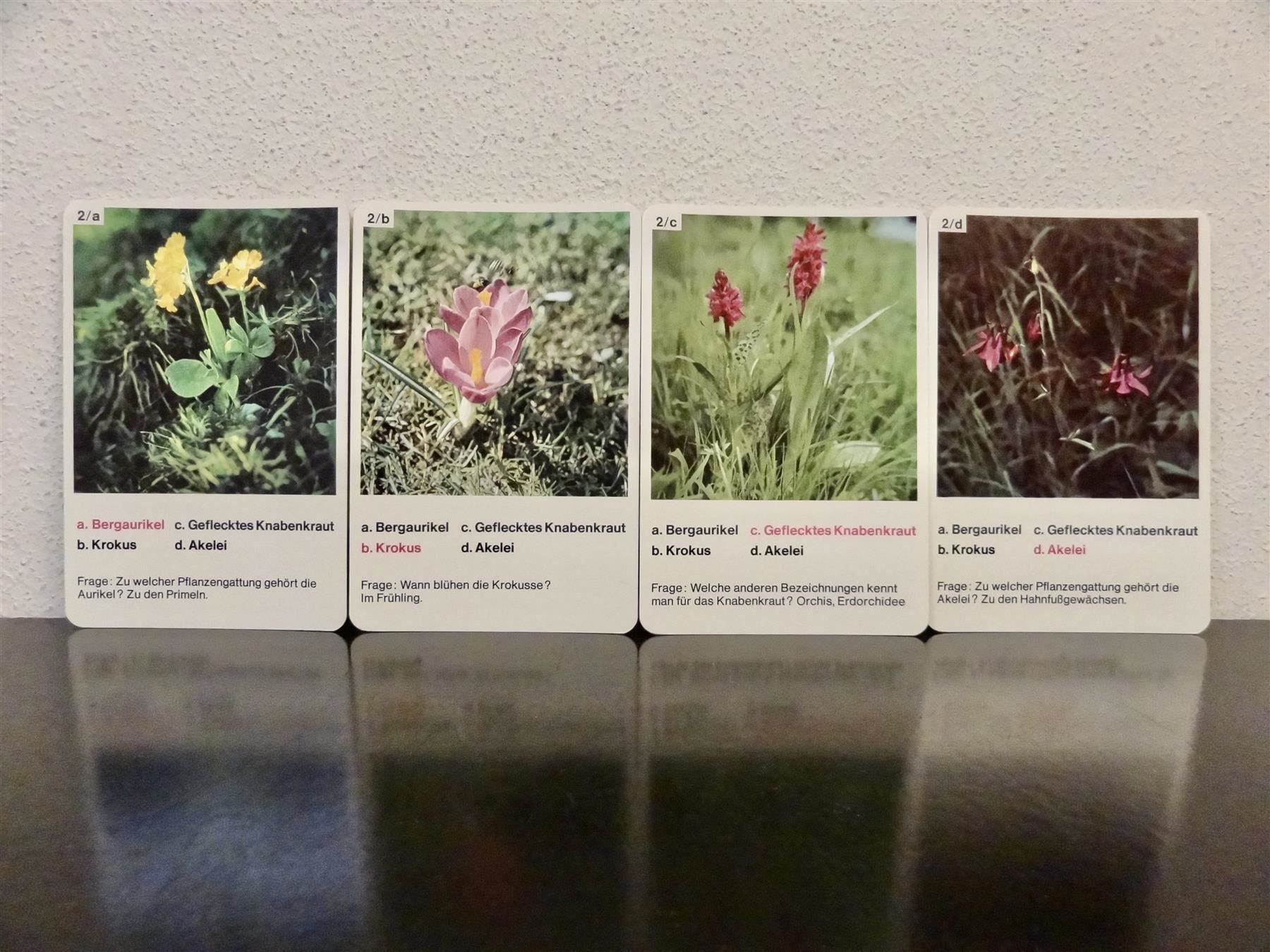 Giochi: altes Quartett BLUMEN-QUARTETT BLUMEN – Usato da Kerzers venduto da wisaundso 4